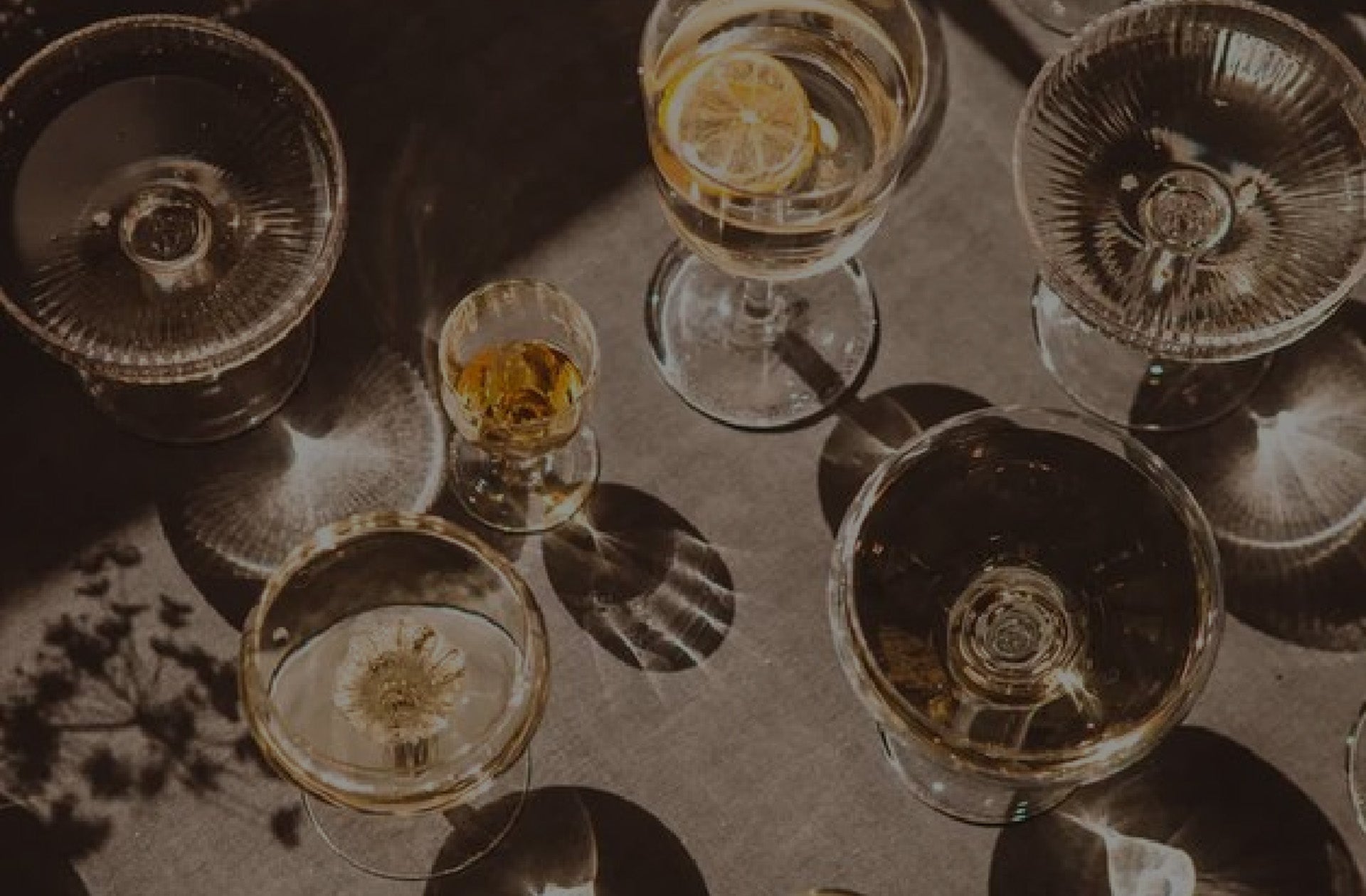 Test 123 - MOOON -moon infused wines-